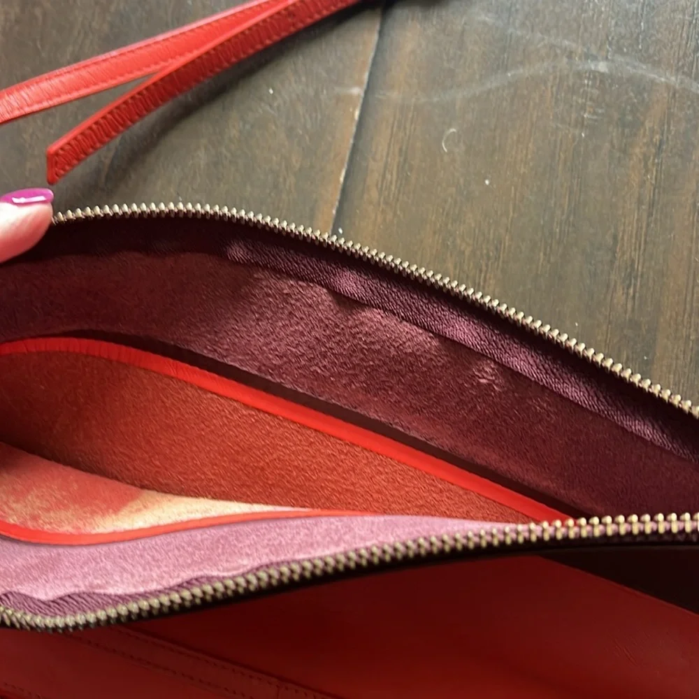 Everlane Red Crossbody Purse